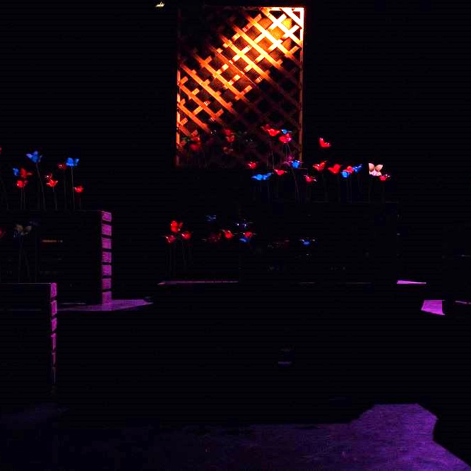 D'où vient le nom des roses ?